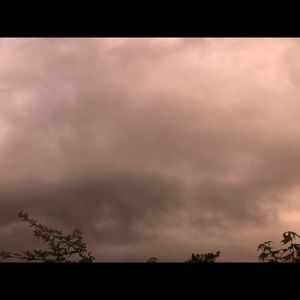 Meet your Posher, Misty